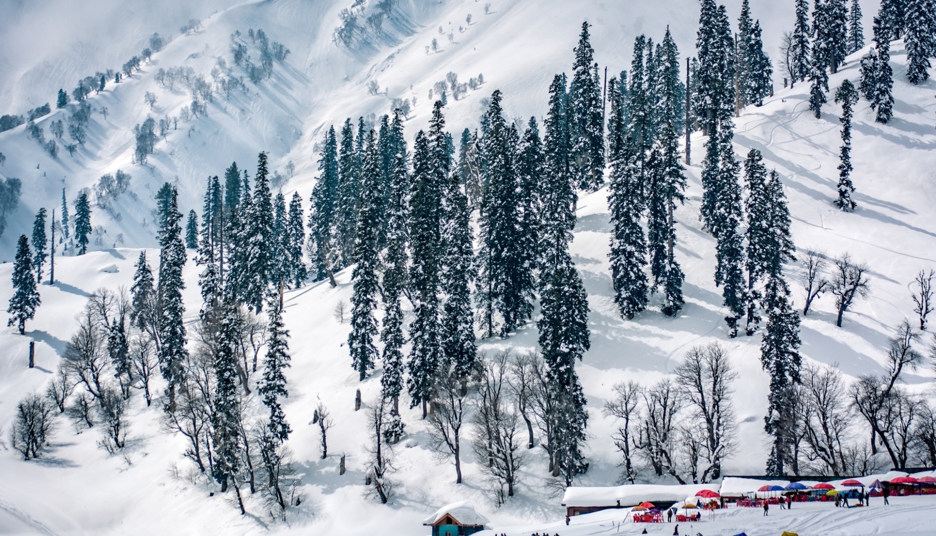 Leh Ladakh Tourism