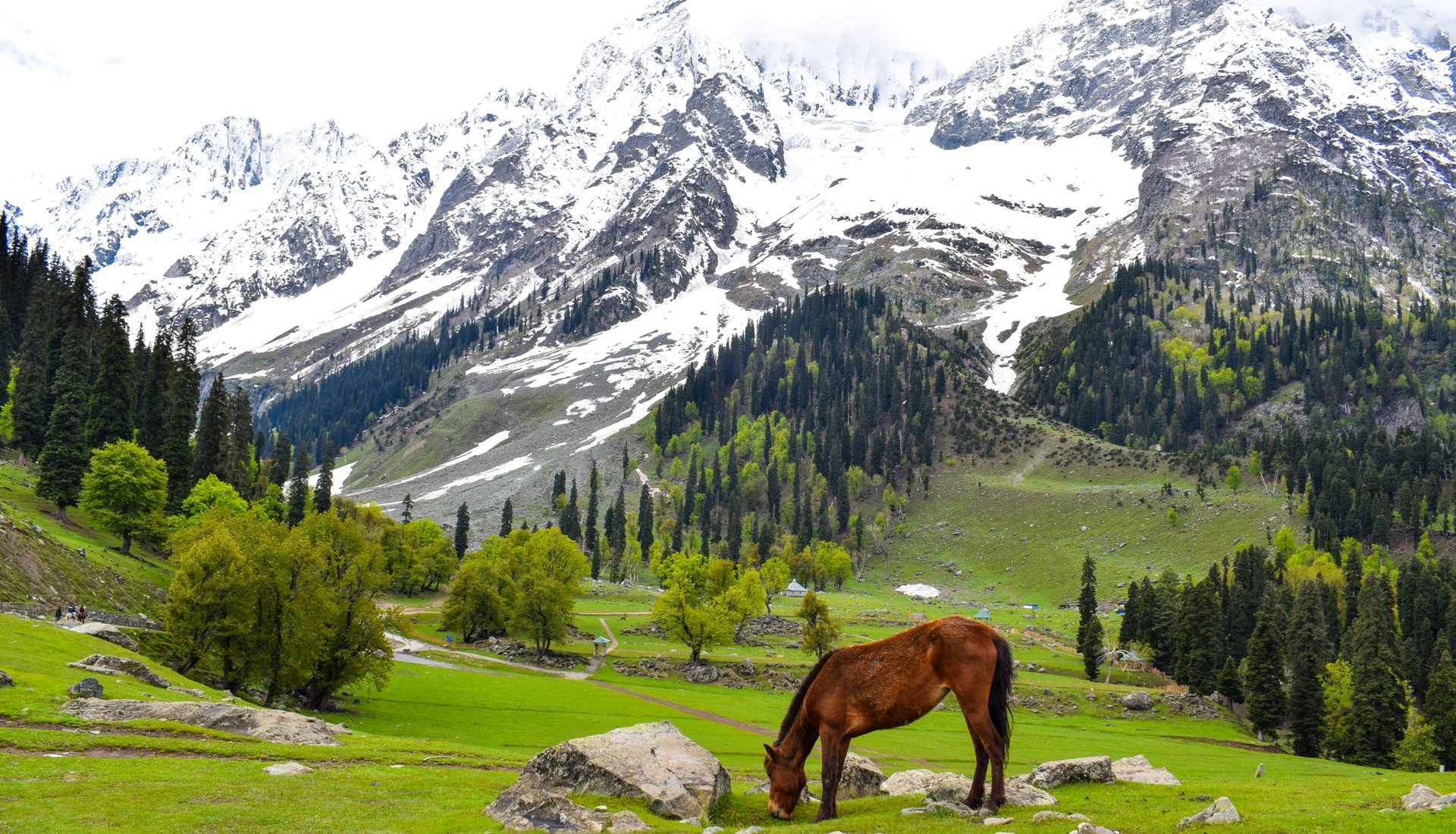 Leh Ladakh Tourism