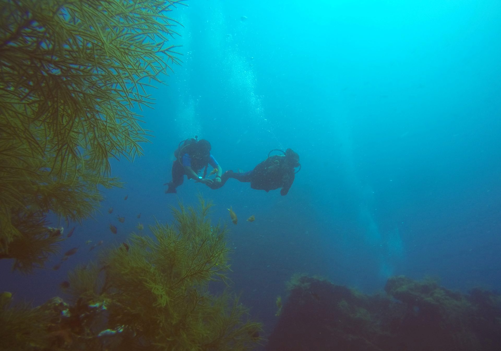 Andaman & Nicobar Tourism