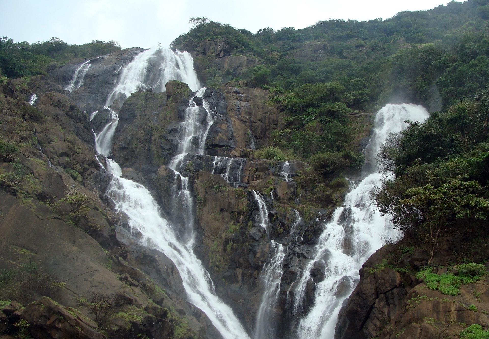 Goa