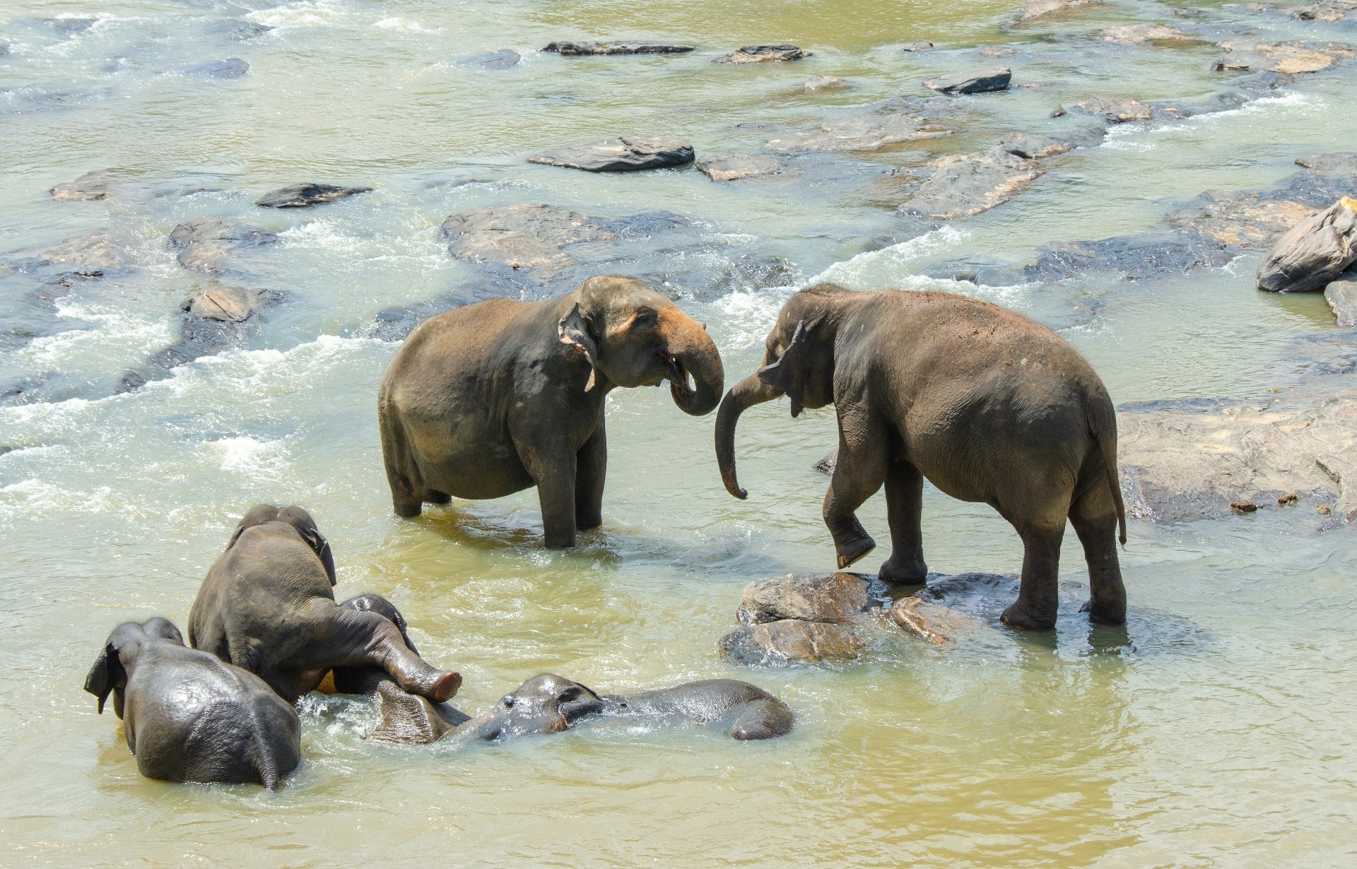 Sri Lanka