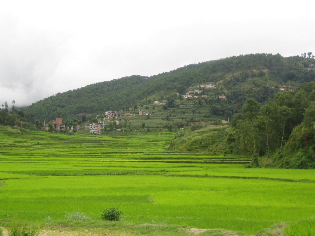 Religious Tour with Hills