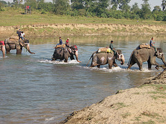 Wildlife Tour with Hills