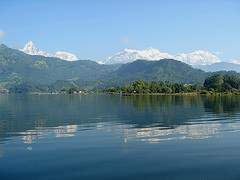 Wildlife Tour with Hills